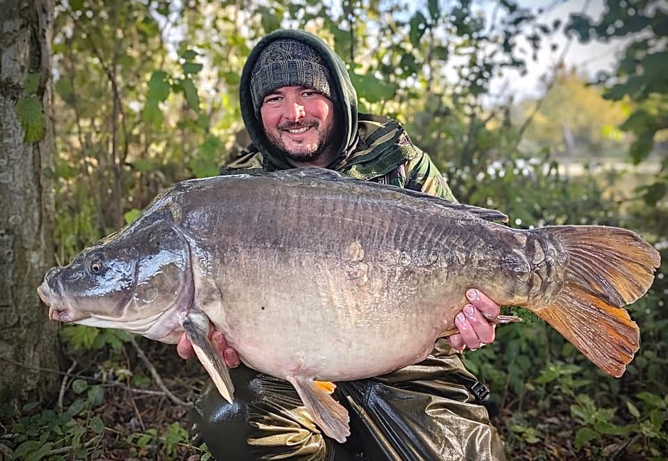 Mirror carp caught at Catch 22