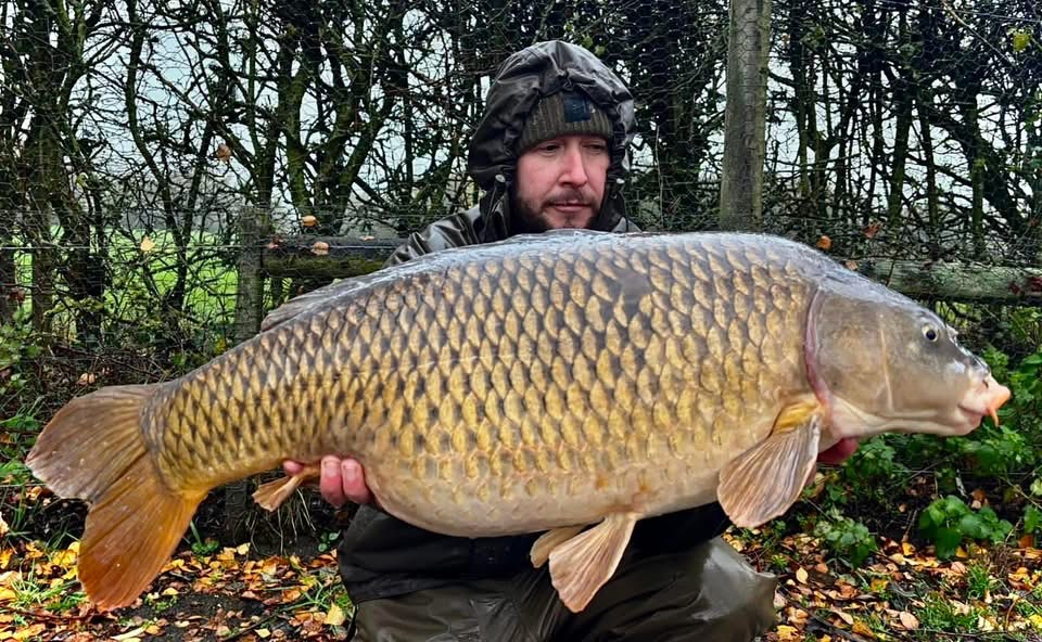 Common carp caught at Catch 22